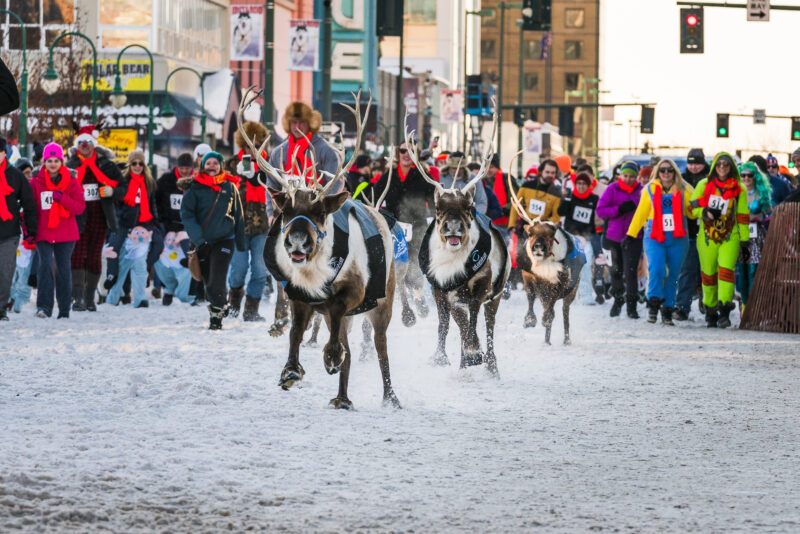 Running of the Reindeer 4 JodyO.Photos.jpg