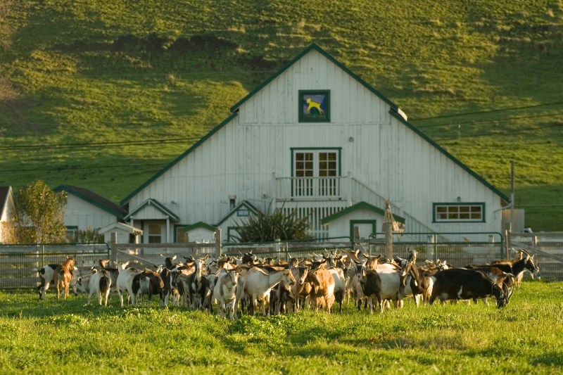 The San Francisco Peninsula