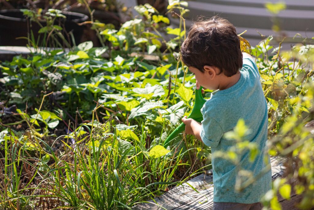 Saplings Activity at San Diego Botanic Garden