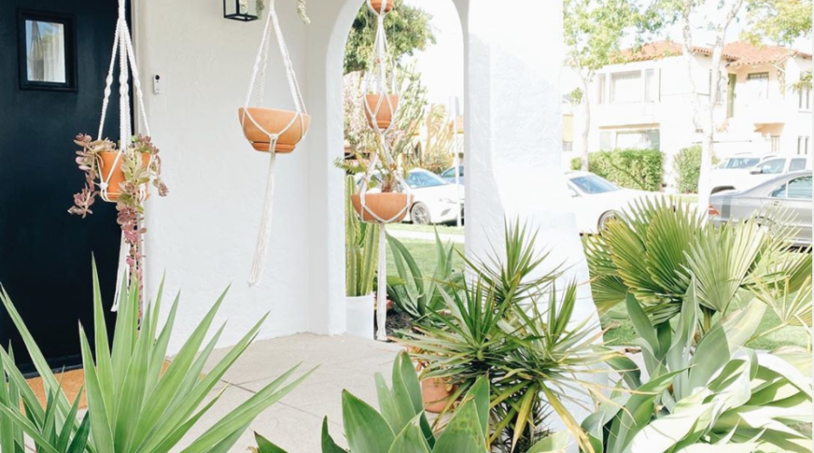 3 Easy Ways to Freshen up Your Yard, Without Spending Money