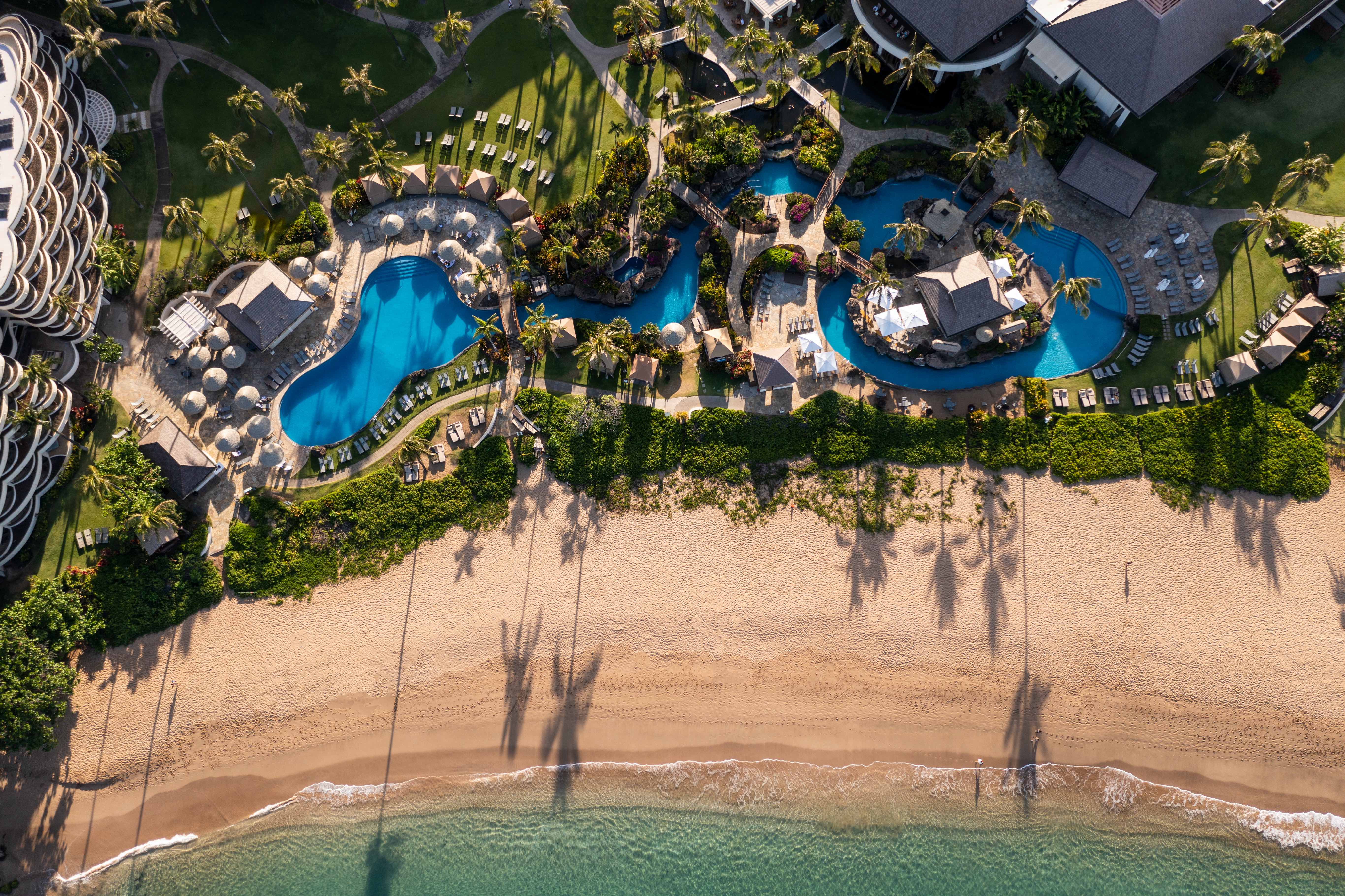 Sheraton Maui Resort Pool.jpg