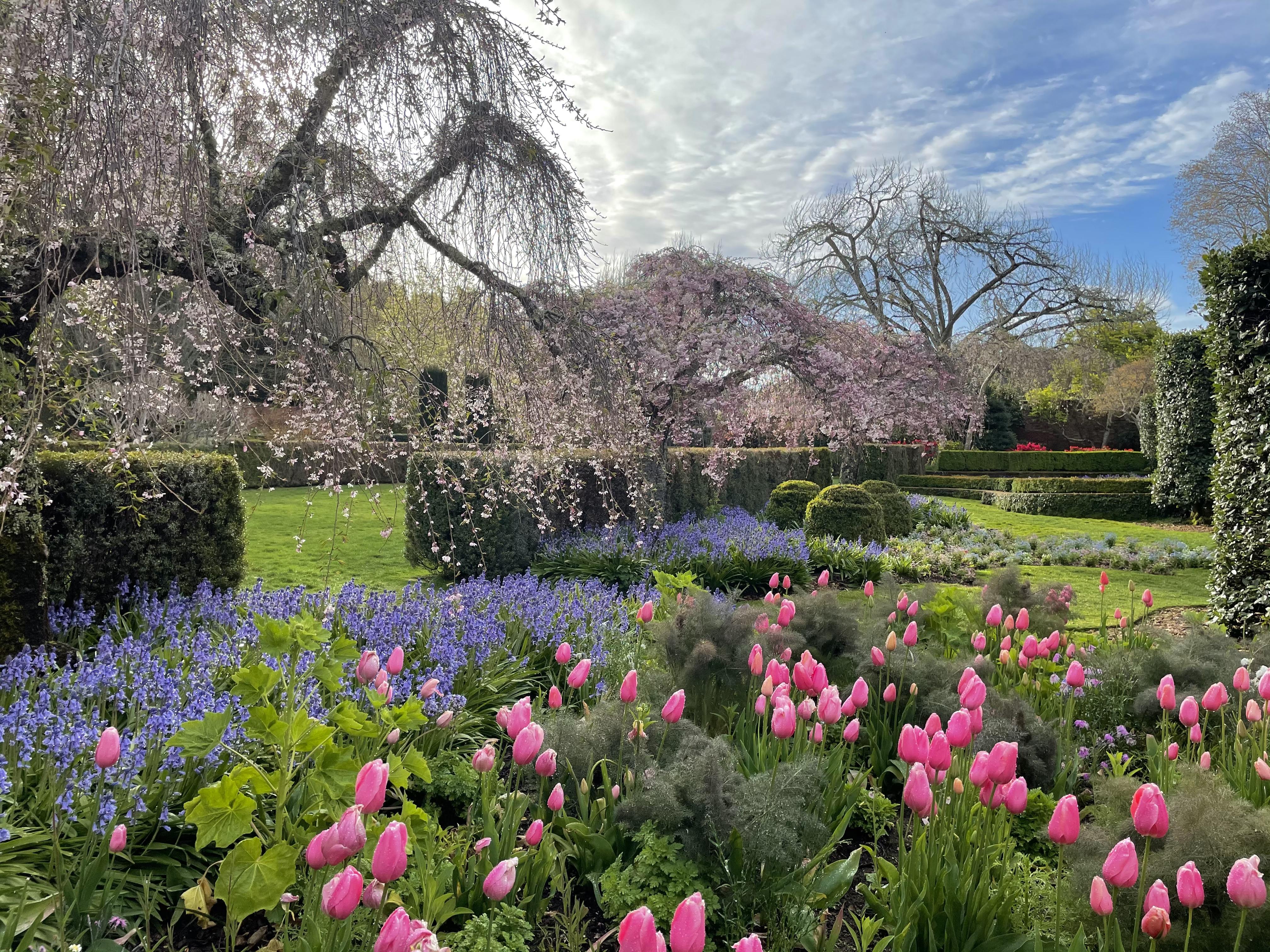 Spring morning by the cottage garden beds.jpg