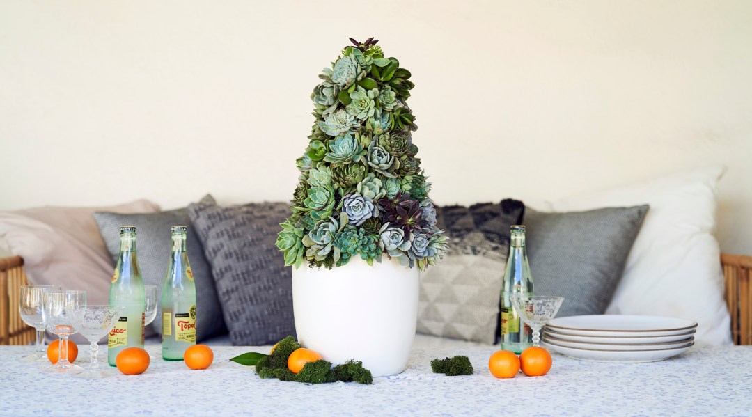 How to Make Your Own DIY Succulent Christmas Tree  Sunset Magazine