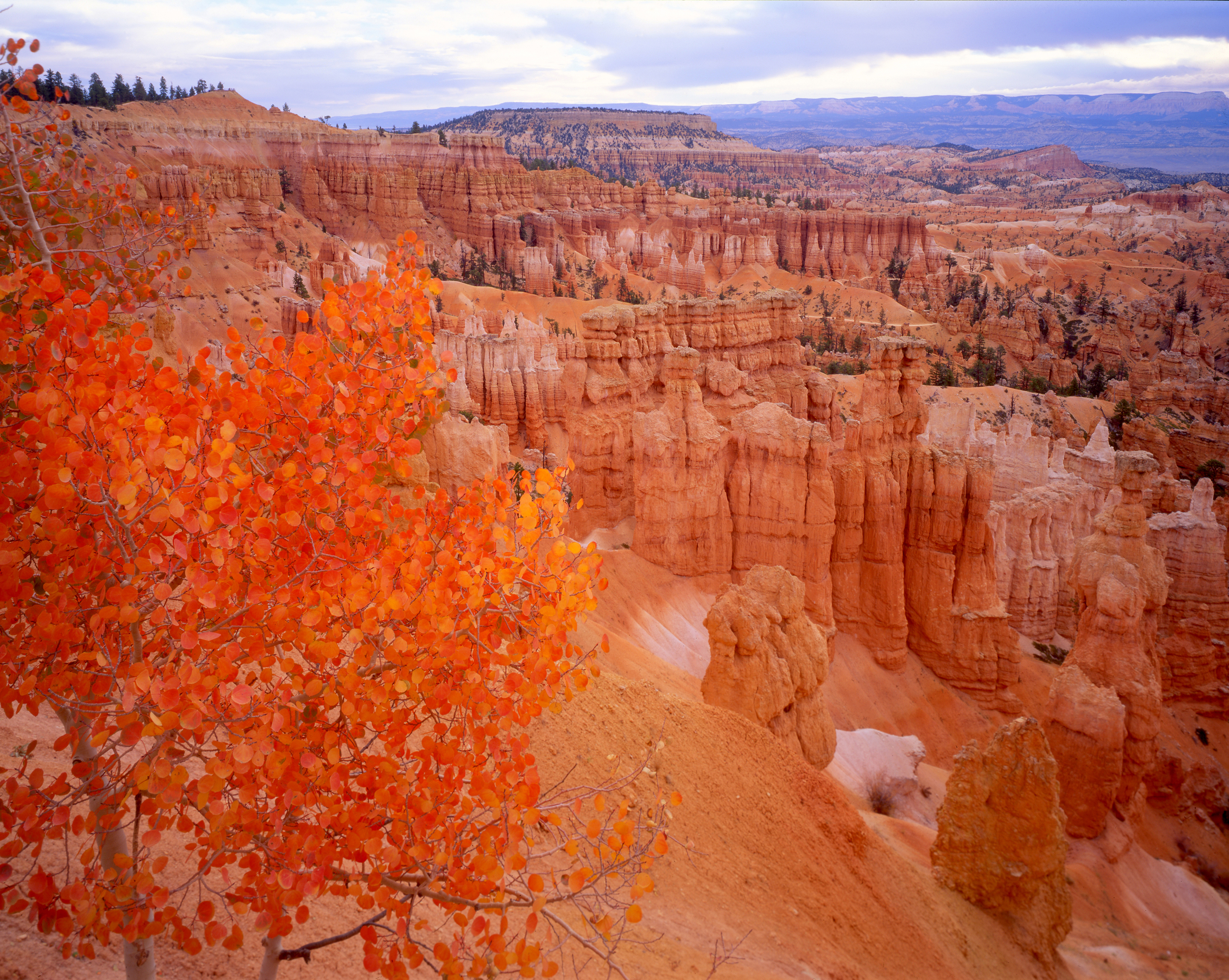 Sunset Point_Bryce Canyon NP_Tom Till.jpg