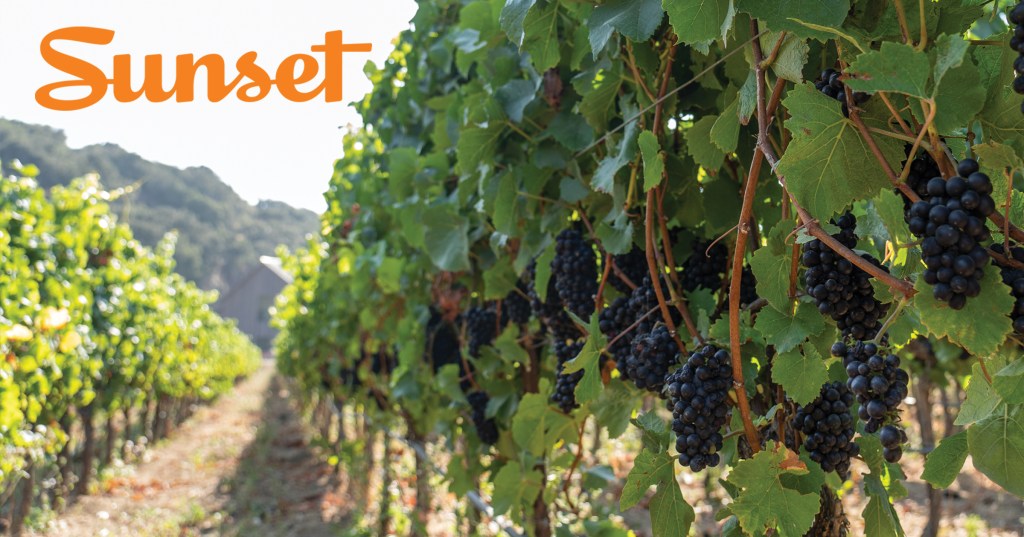 Welcome to Sunset's 2020 Wine Issue—Our First Ever!