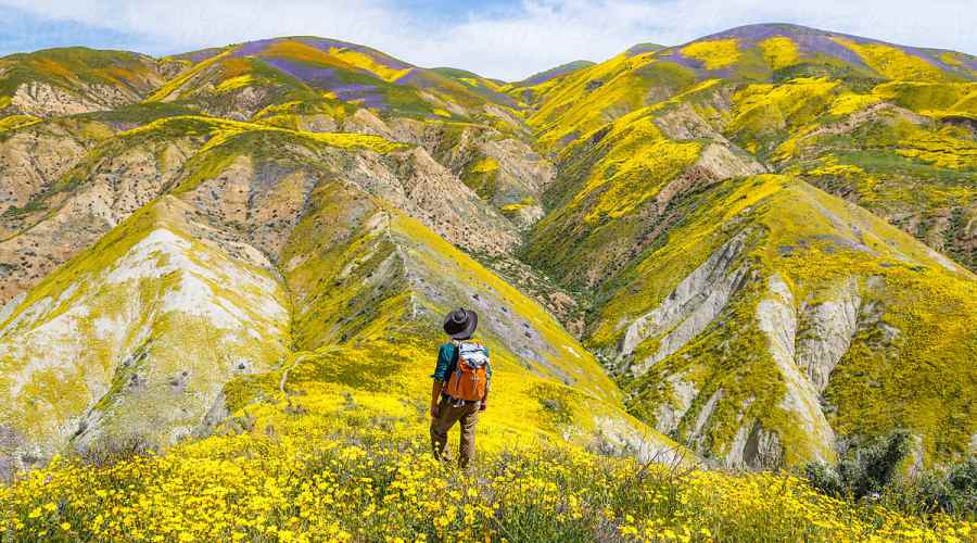 This Is What You Need to Take with You When Checking out Spring's Super Blooms