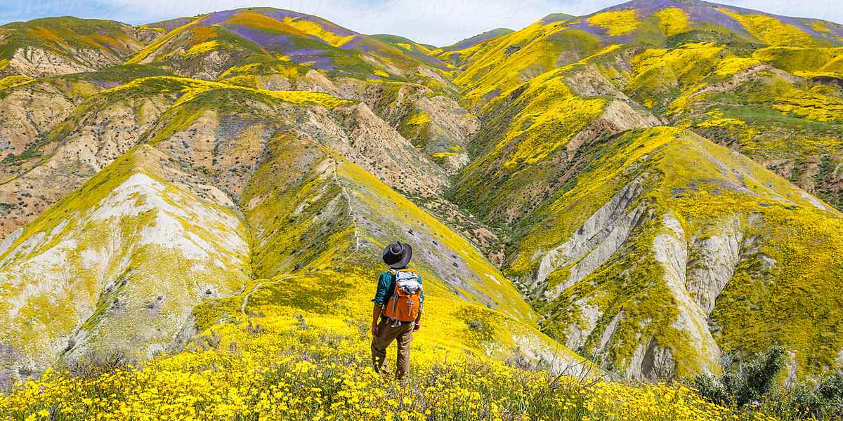 This Is What You Need to Take with You When Checking out Spring’s Super Blooms