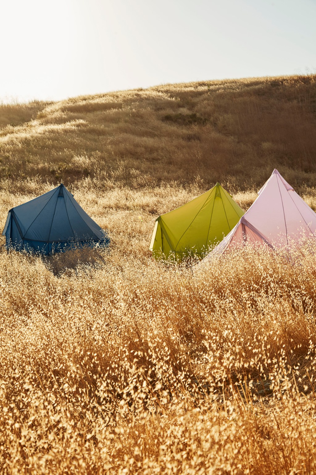 These Colorful Tents from the Glamping Pros at Shelter Co. Are Too Cute to Stay Inside