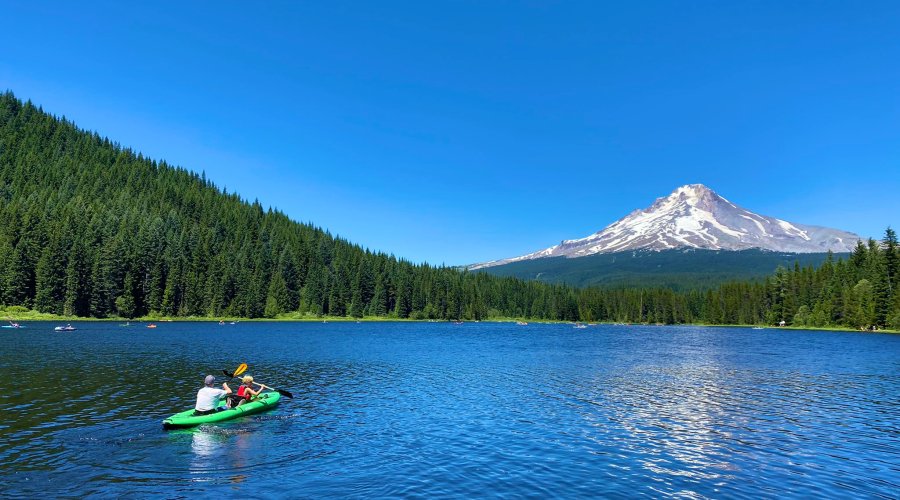 National Forest Week Kicks Off July 12 — Here's How You Can Celebrate