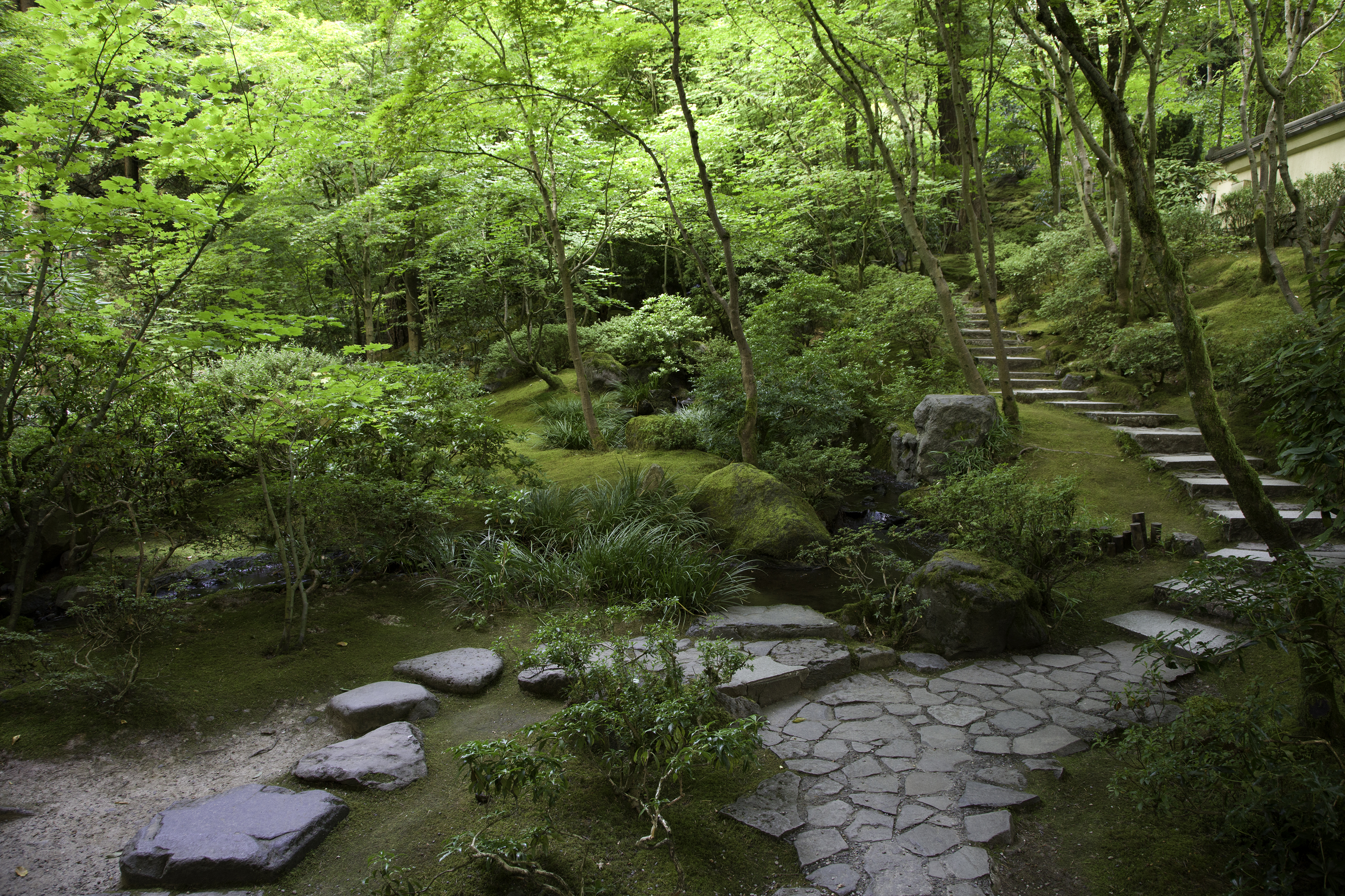 Two pavement styles in the Natural garden. Photo by Jack Jakobsen (1).jpg