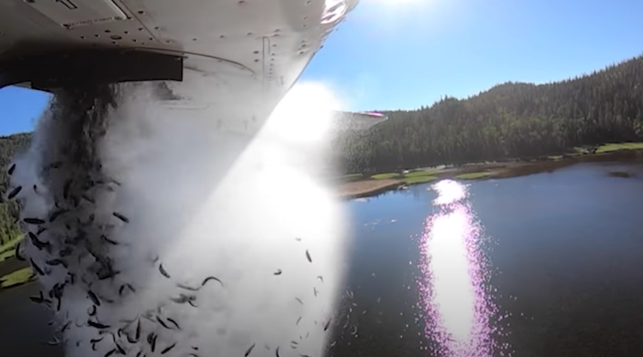 Watch This Wild Video of Aerial Fish Restocking Over Utah's Alpine Lakes