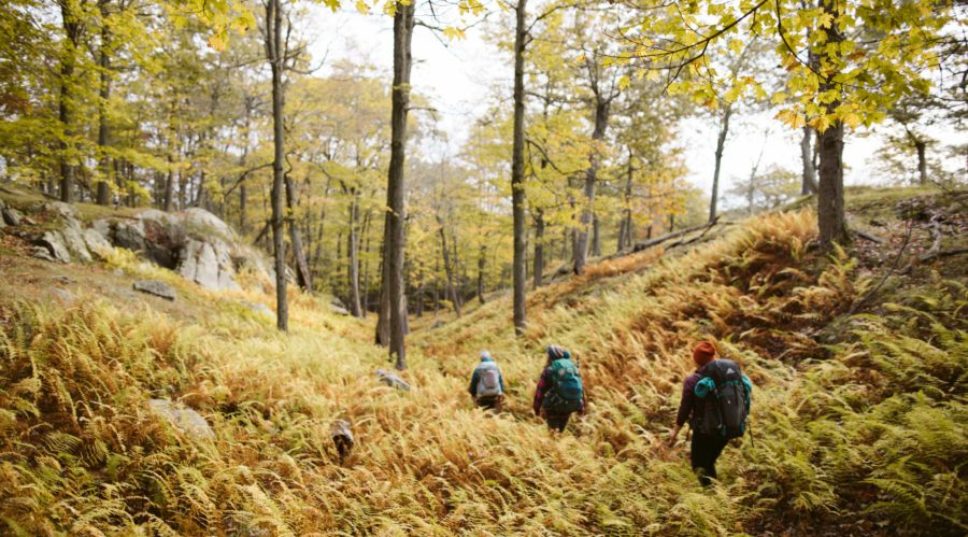 This Black Friday, REI Urges You to #OptOutside and Volunteer While You're at It