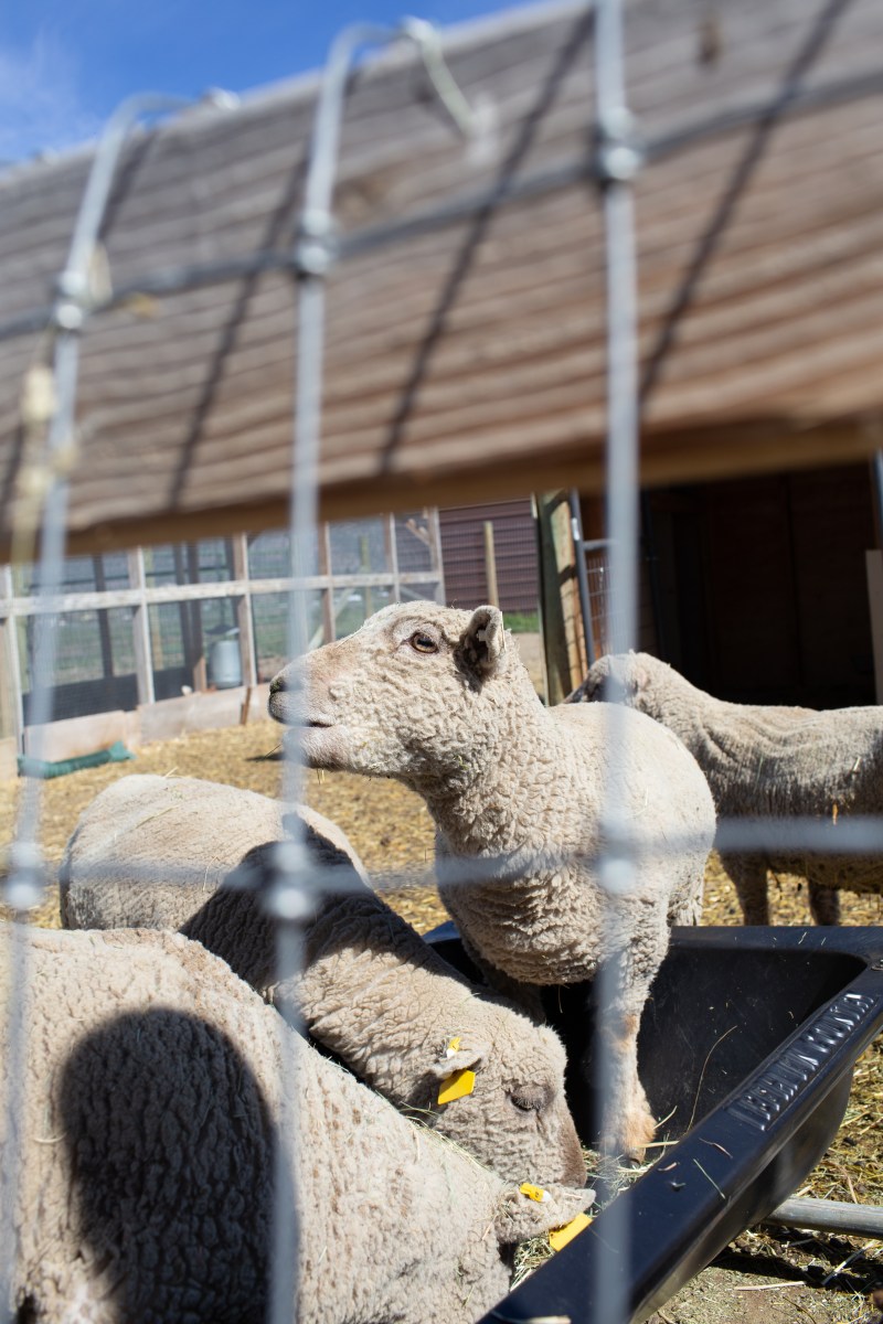 The High Desert Food Trail