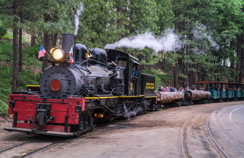Yosemite Mountain Sugar Pine Railroad