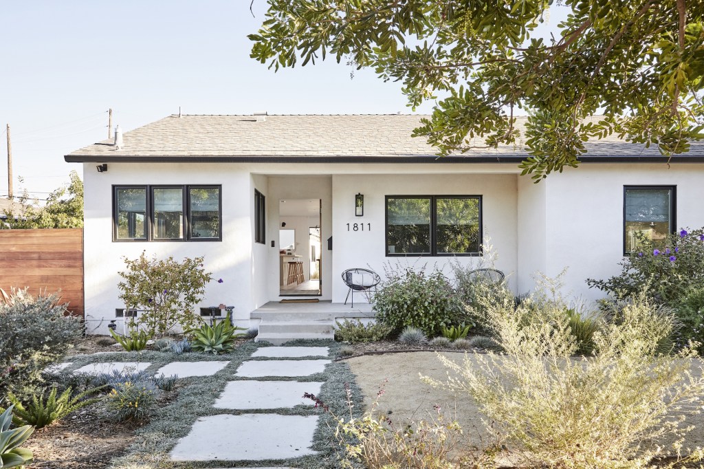 Consider These Affordable Alternatives If the Drought Is Killing Your Lawn