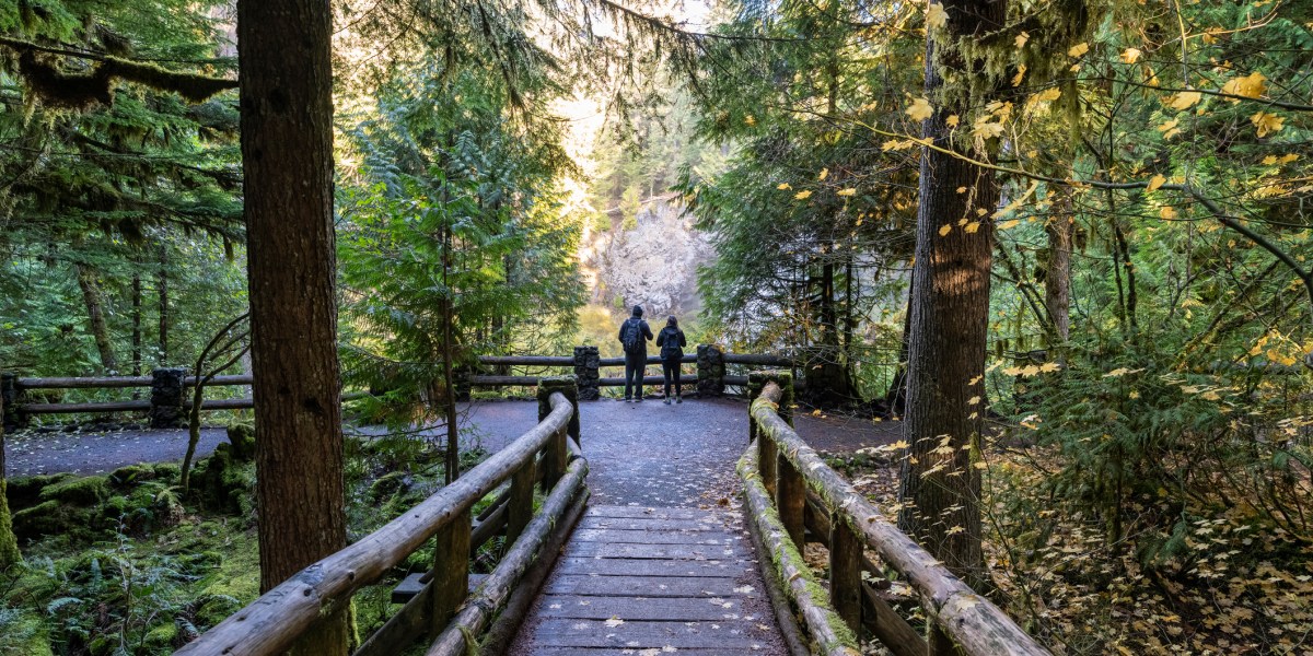 Willamette National Forest