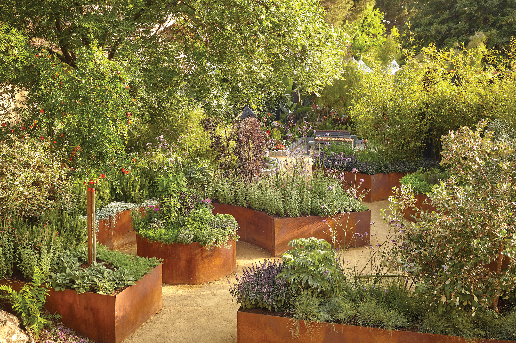 https://www.sunset.com/wp-content/uploads/a-gardens-purpose-corten-steel-planters-pc-%C2%A9david-fenton-1023.jpg