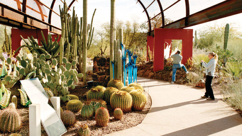 Best Phoenix Gardens - Sunset Magazine