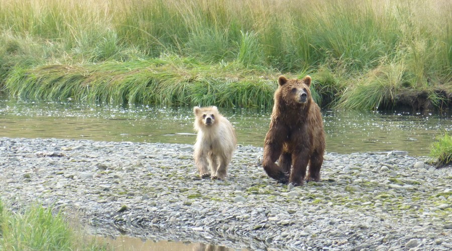 admiralty-island-national-monument-ak
