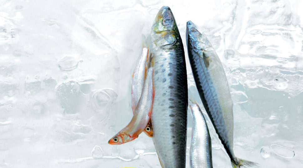 4 Ways with Healthy Little Fish