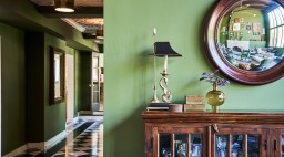 Albuquerque Ramble Green Walls