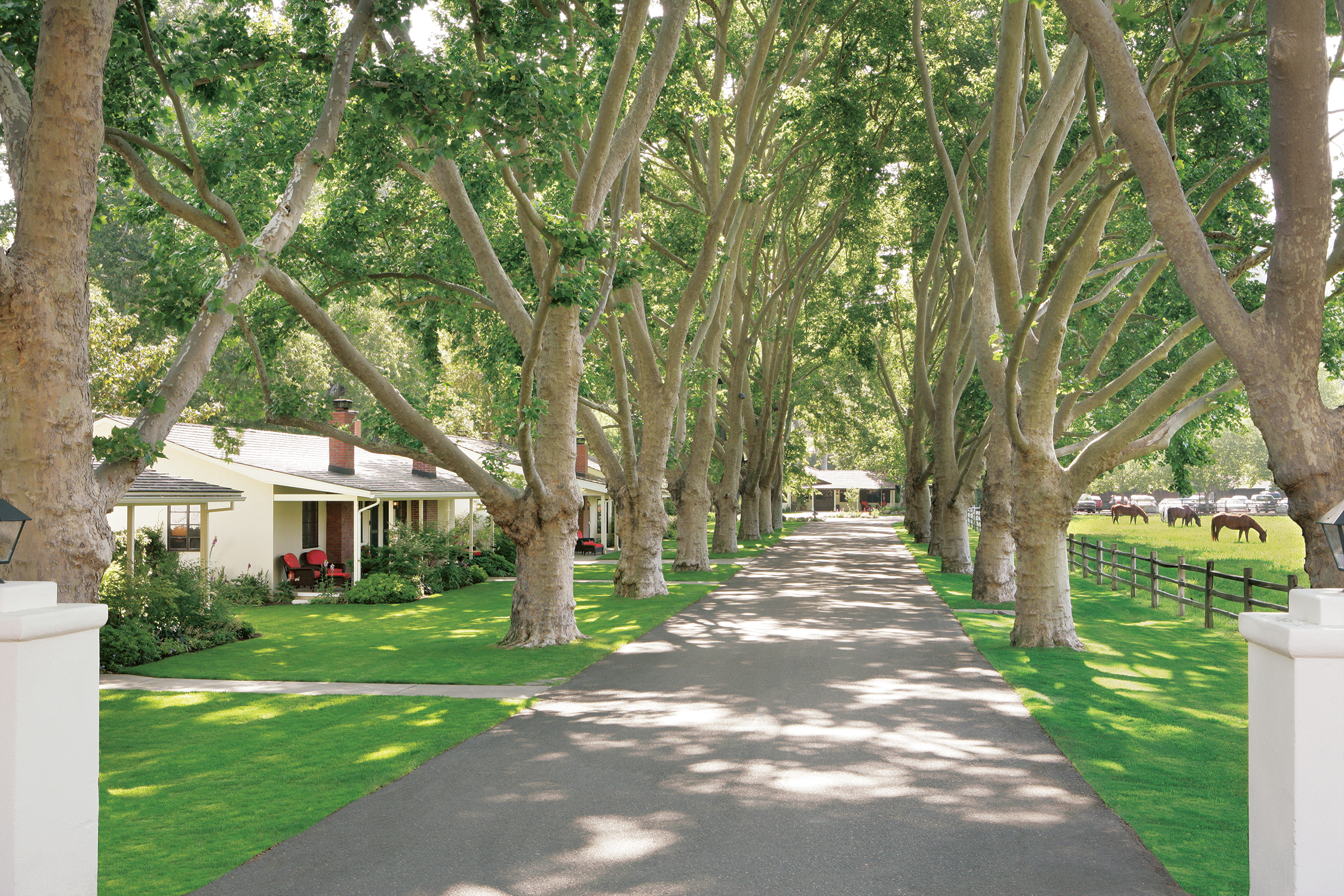 Alisal Ranch Front Entrance