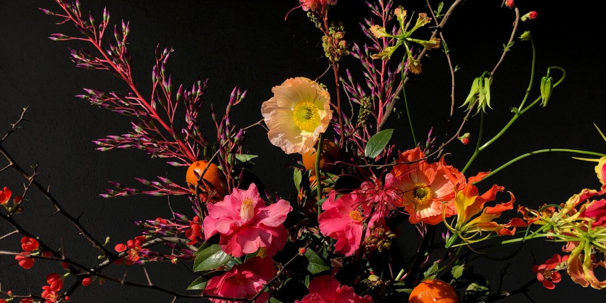 Sophia Moreno-Bunge Arrangement from Isa Isa