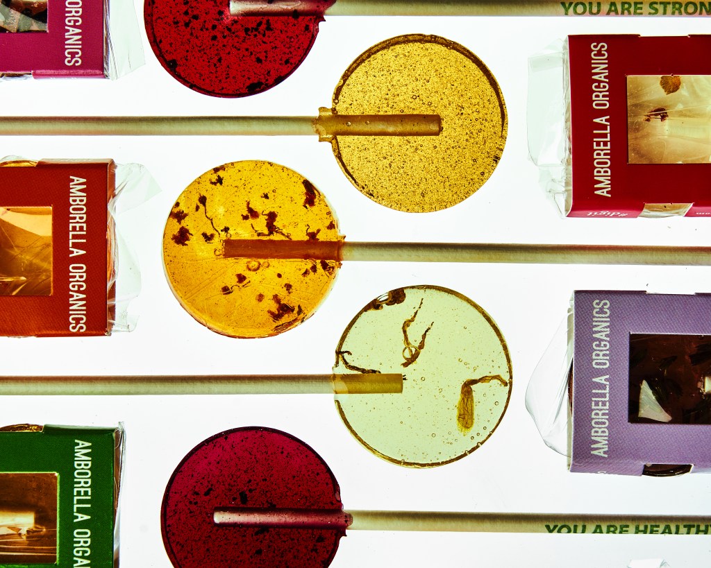 Our Kind of Halloween Candy: Lollipops That Grow All Sorts of Plants