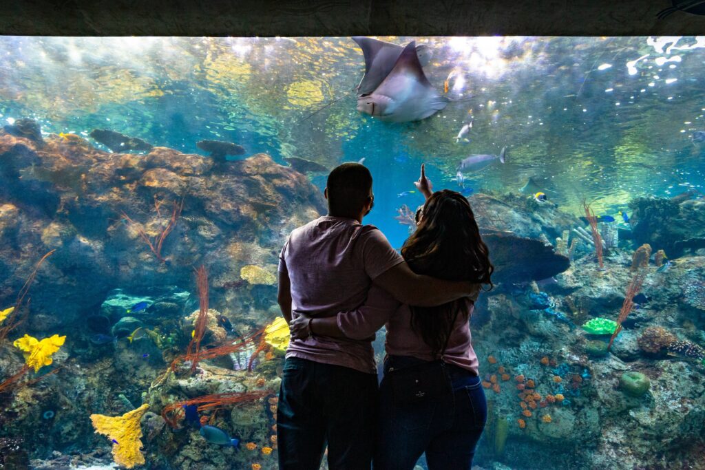 Aquarium of the Pacific Tropical Reef Habitat