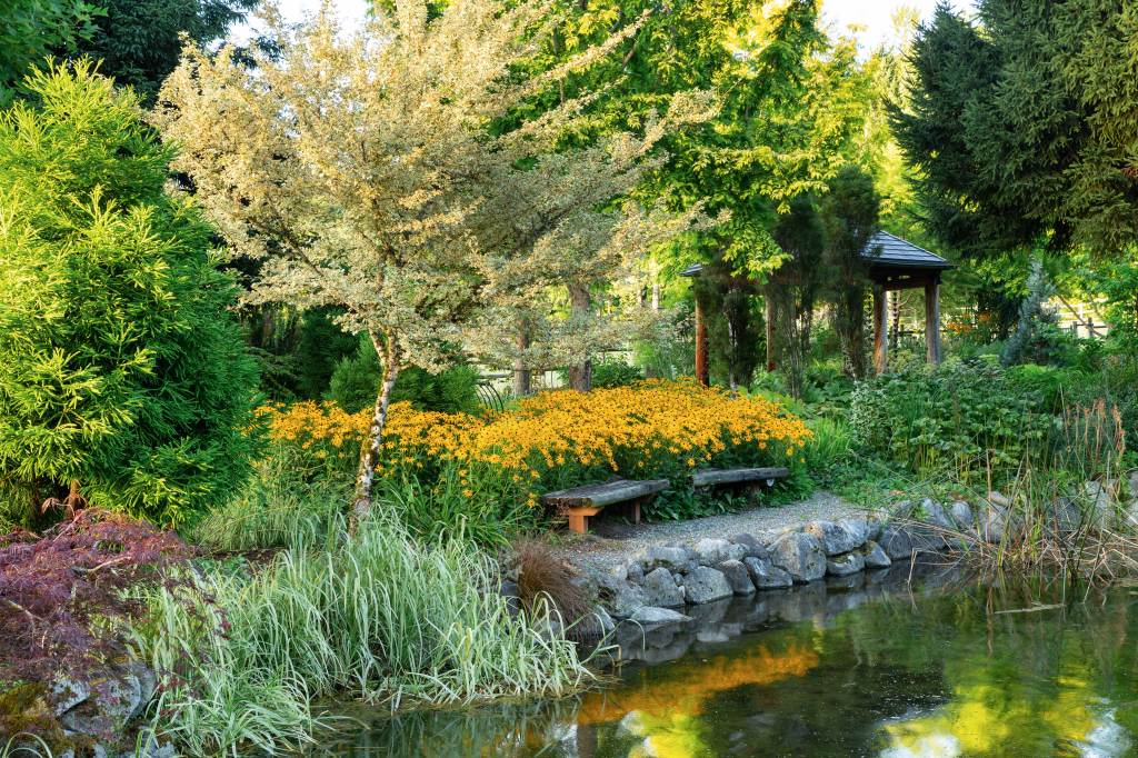 Your August Garden Checklist