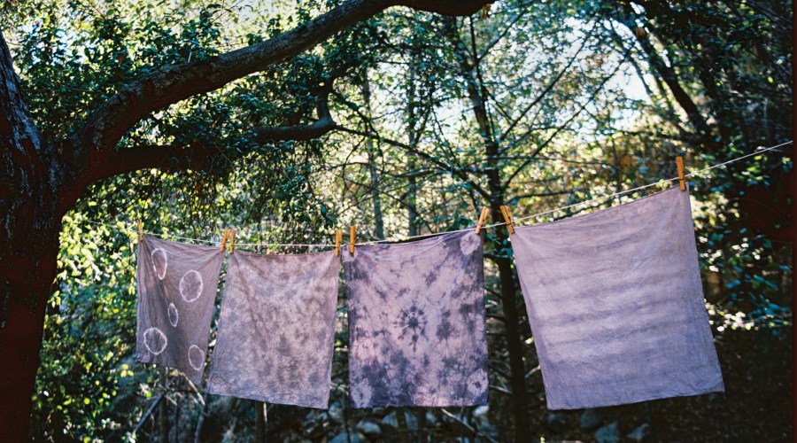 How to Make Colorful Dyes from Your Own Garden