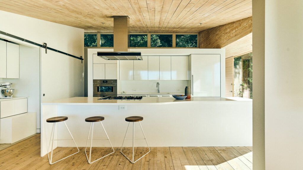 Berkeley Modern Minimalist White Kitchen