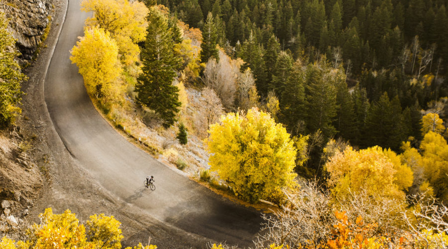 Overhead shot of cyclist cruising down a road surrounded by golden aspens in one of the best places for fall foliage