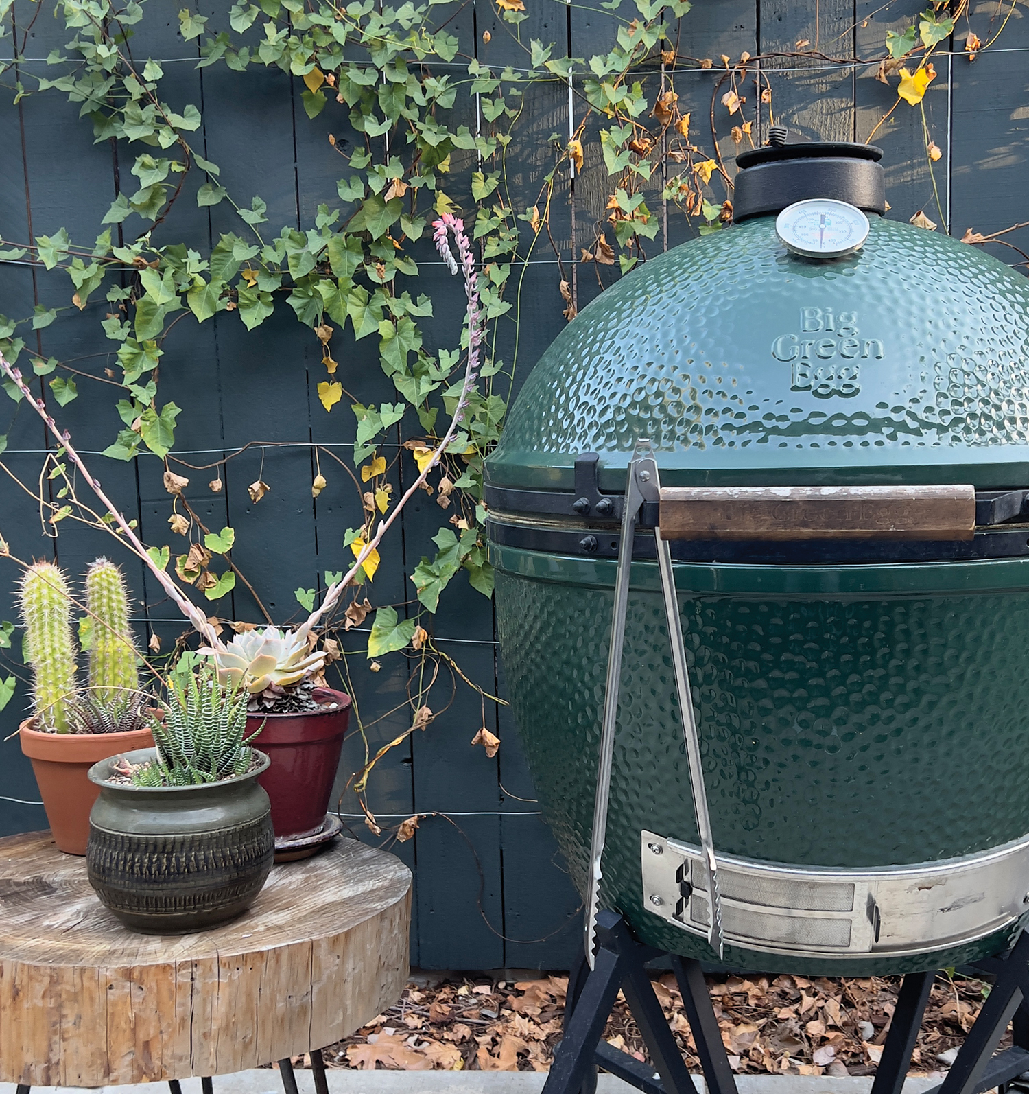 Big Green Egg