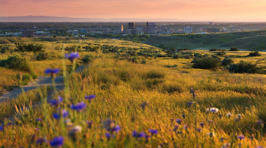 Boise Is Big. Here's Where to Eat, Drink, and Stay According to a Local Brewer.