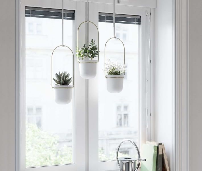 Triflora Hanging Planter