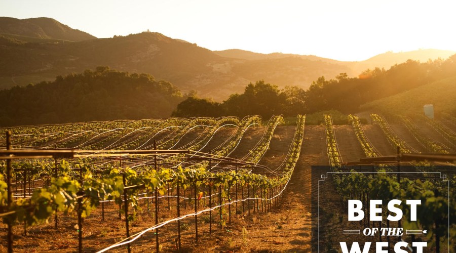 Discover This Bottle, Peep That Print, and More Things to See and Do This Week