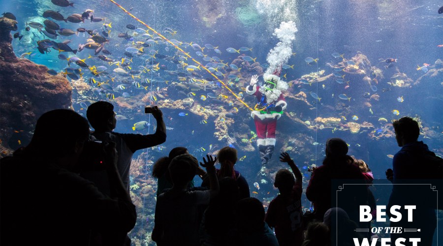 Explore These Exhibits, Adopt Those Puppies and Kittens, and More Things to See and Do This Week