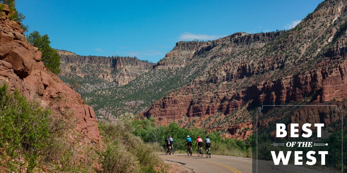 Raid Cycling Lead with Icon