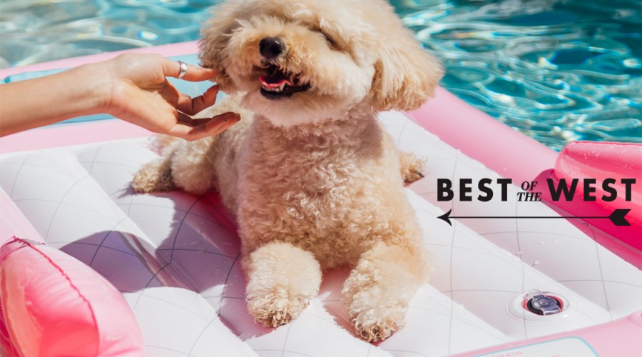 Hot Dogs, Cool Art, Cold Drinks, and More Ways to Beat the Heat This Week