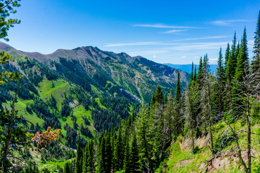 Bozeman Montana Mountain