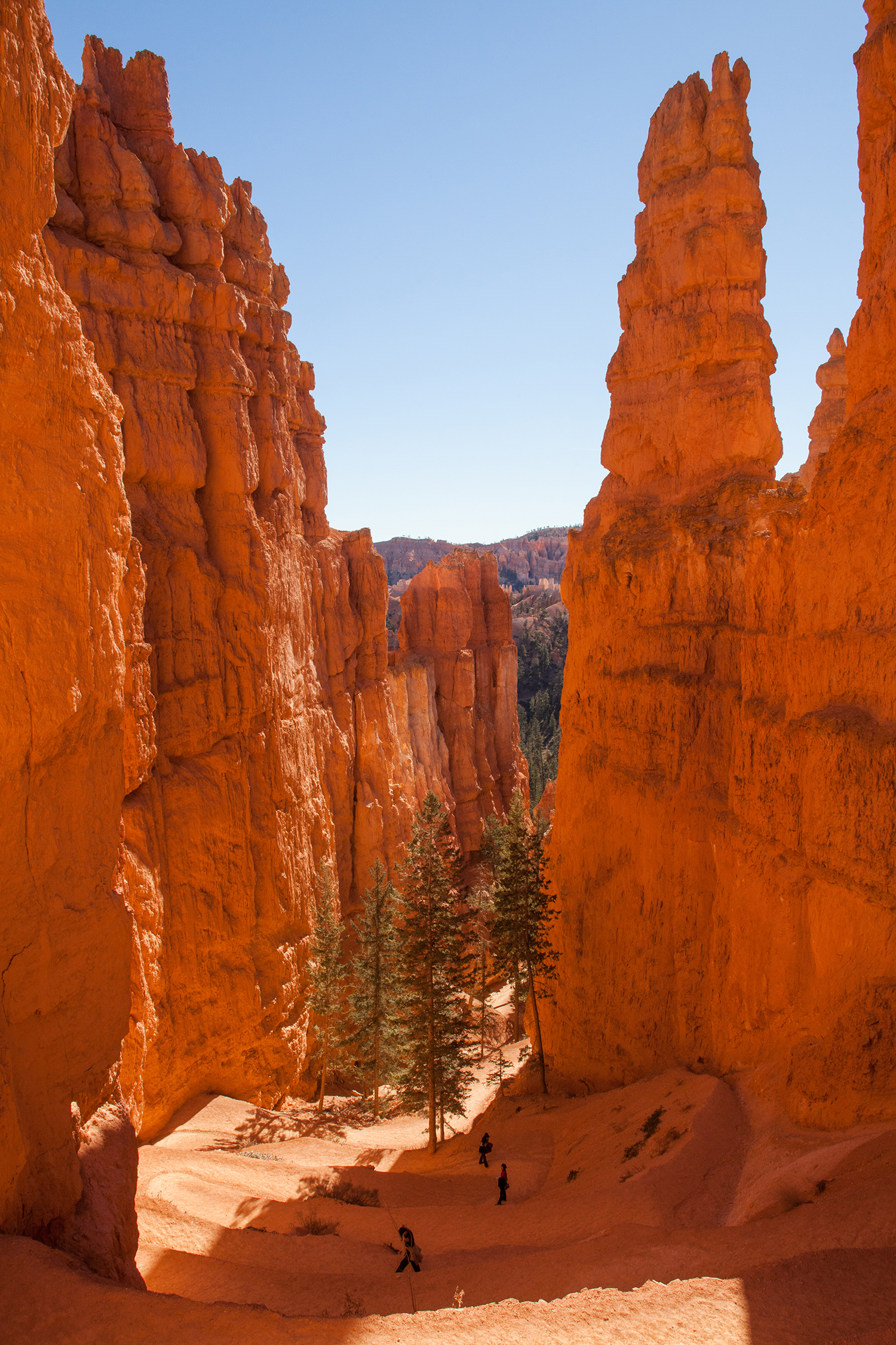 Bryce Canyon Navajo Loop