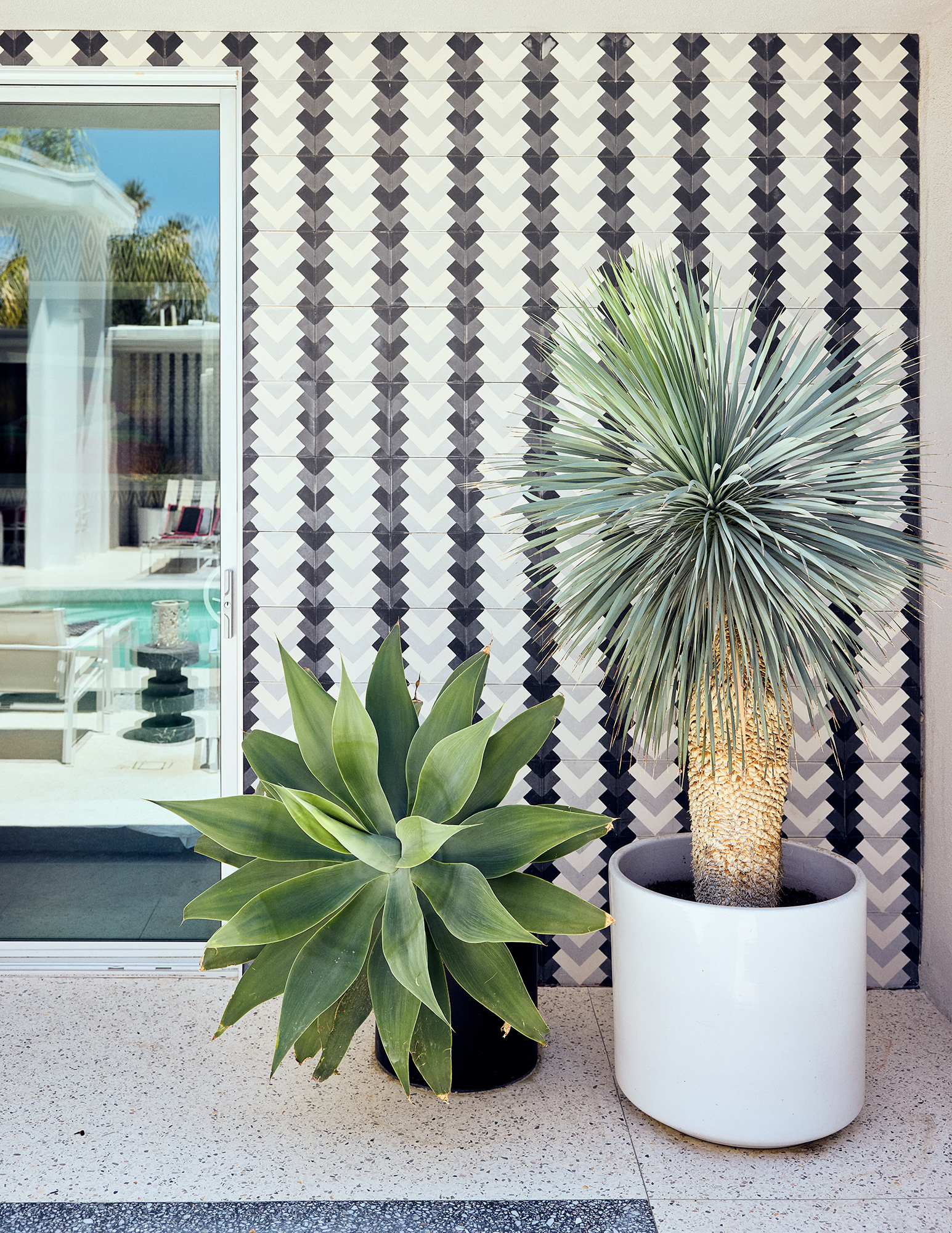 Bullard Villa Grigio Container Plants