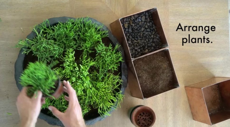 How to Create a Minimalist Succulent Tablescape