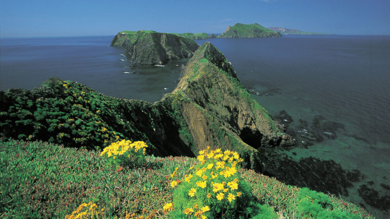 Best of the Channel Islands - Sunset Magazine