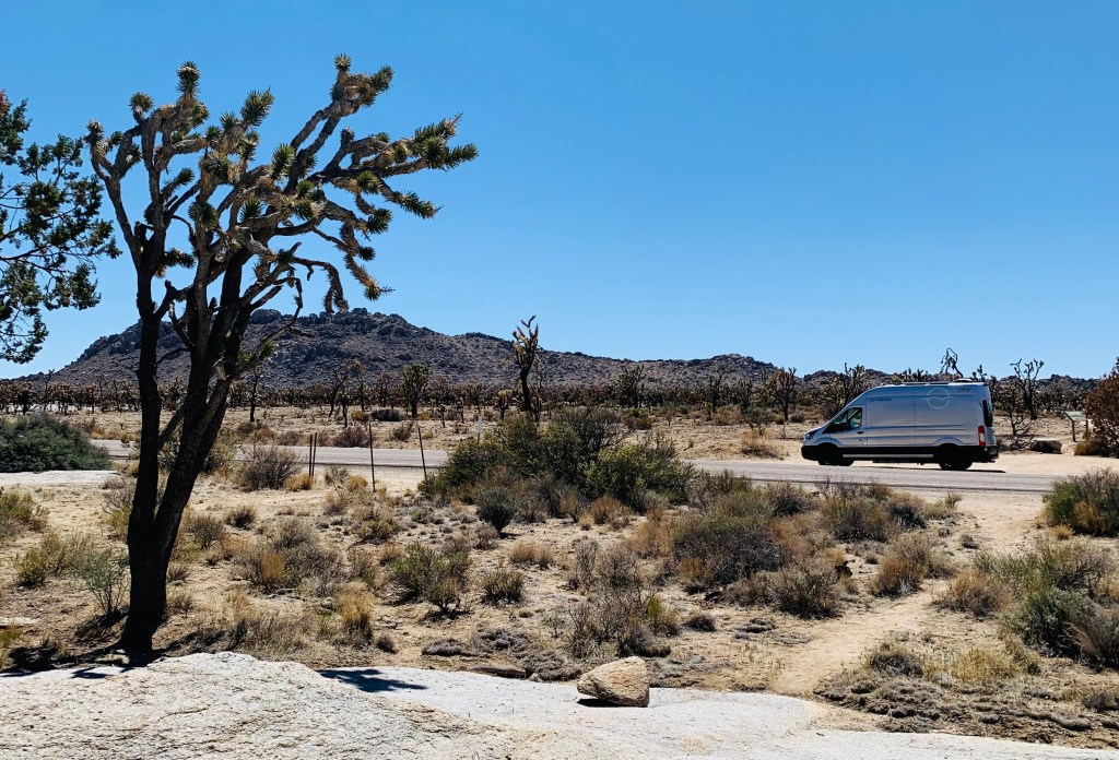 Best Way to See the Mojave Desert? Try a Camper Van