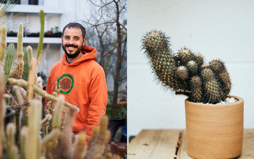 Everywhere There Are Spikes: An Exclusive Peek at One of the World’s Greatest Cactus Collections