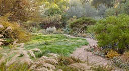 California Natives Fall Garden