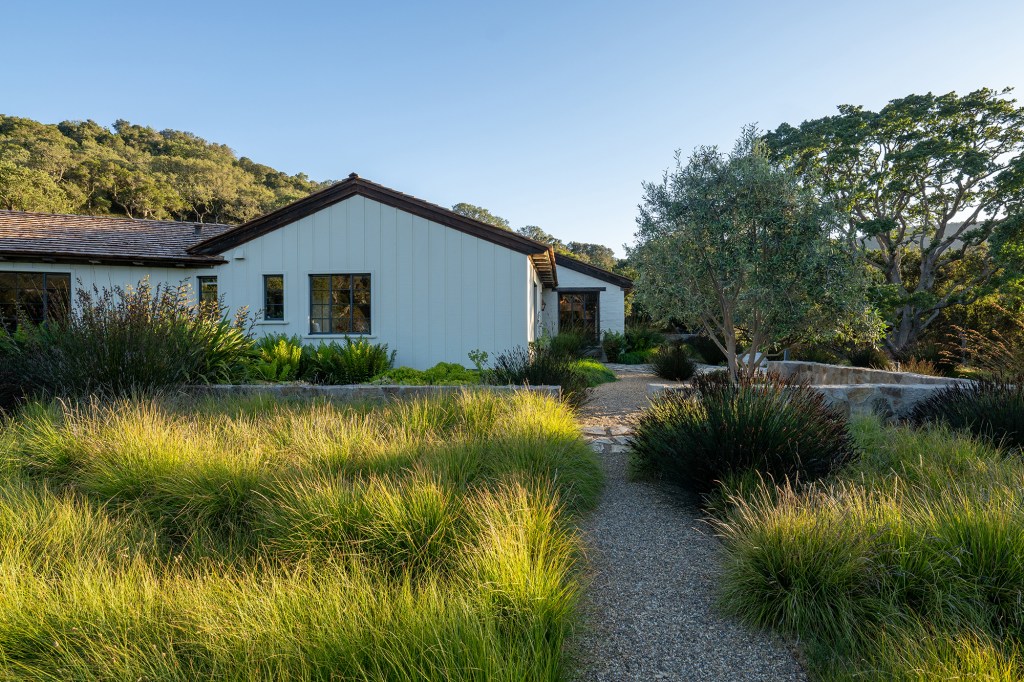 Ditch the Turf and Turn Your Lawn into the Dreamiest Meadow