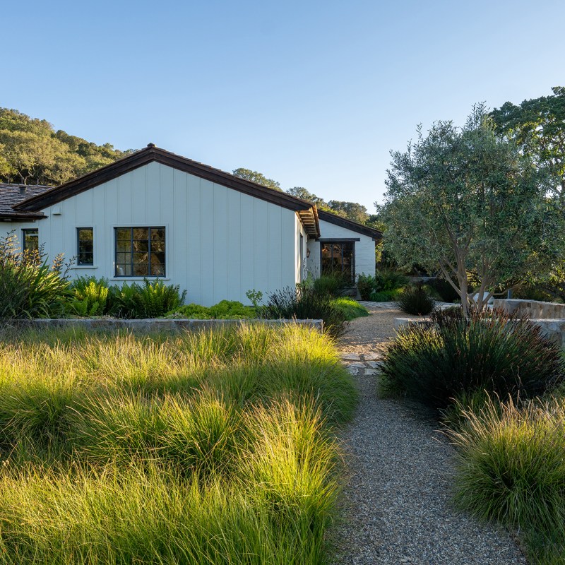 Ditch the Turf and Turn Your Lawn into the Dreamiest Meadow